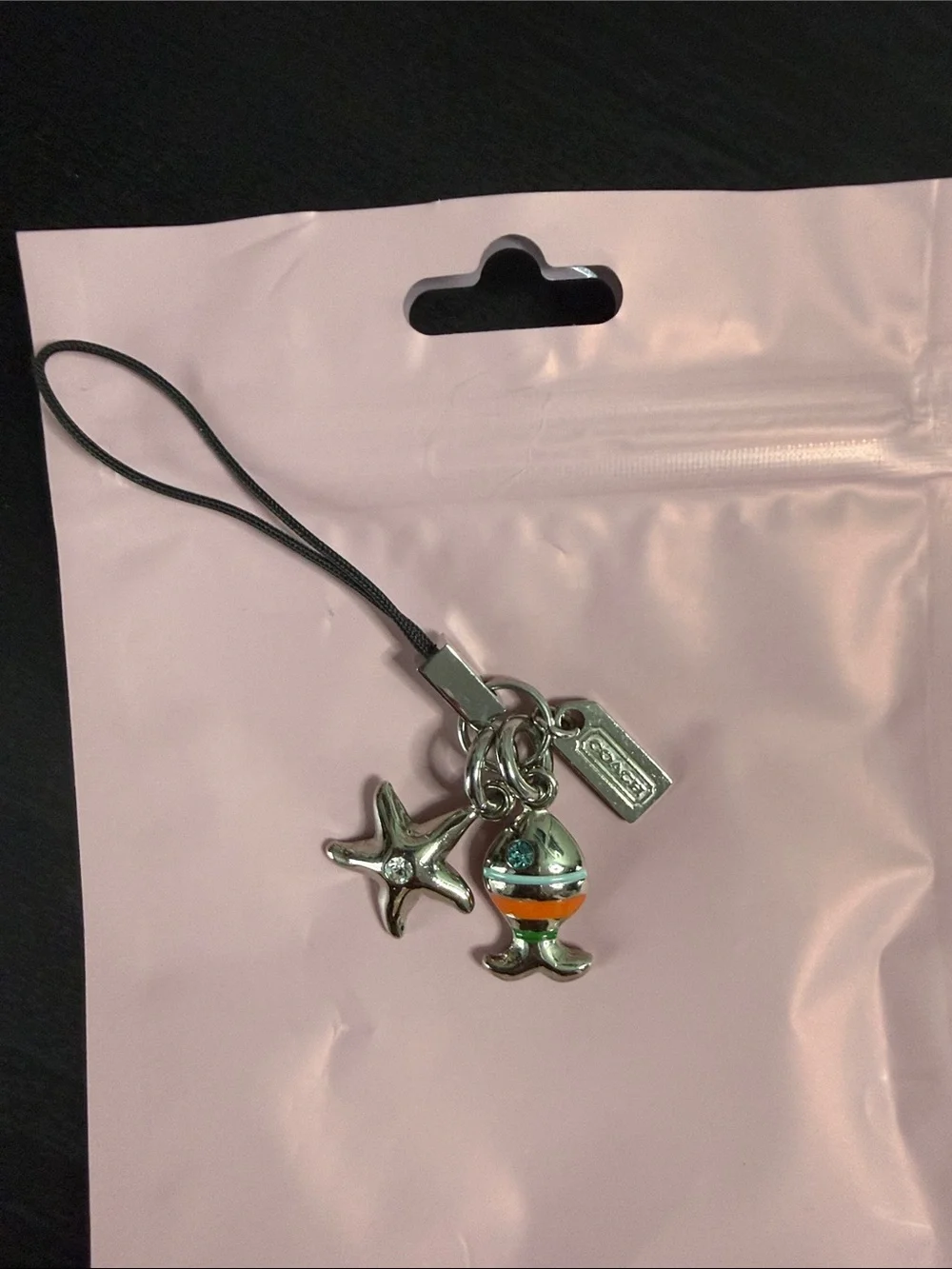 Coach RARE Blue Ocean Charm PhoneStrap